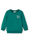 Name It Mini Boy Toms Cool Dino Sweatshirt, Forest Biome