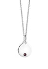 Newbridge Birthstone Pendant, February