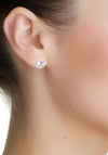 Newbridge Flower Earrings Clear Stones, Silver