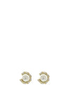 Nour London C-Shape Pearl Stud Earrings, Gold