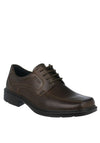 Ecco Mens Helsinki Lace Up Leather Shoe, Cocoa Brown