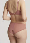 Panache Clara Brief, Sienna