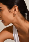 Pilgrim Taffy Hoop Earrings, Gold