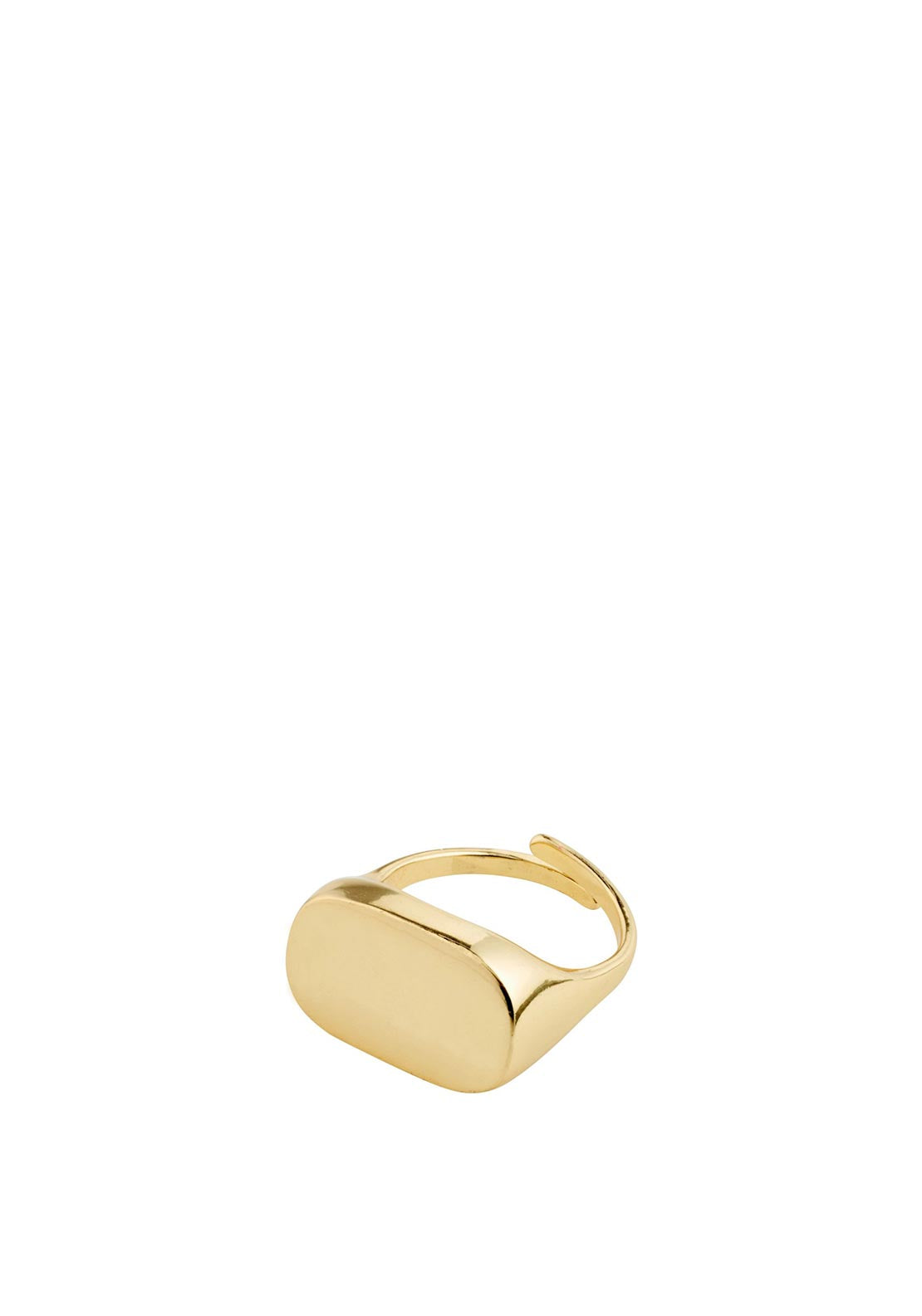 Restoration Signet Ring Goldplated