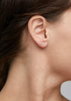 Pilgrim Caily Multi-Coloured Crystal Triangle Earrings, Silver