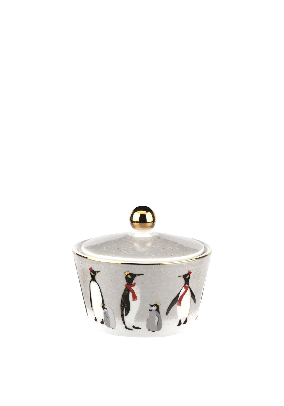 Sara Miller Penguin Small Lidded Bowl