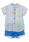 Sardon Baby Boys Gingham Shirt and Shorts Set, Multi