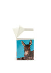 Shannonbridge Donkey Carton Jug, Blue