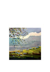 Sharon McDaid Bayside Grazers Framed Art 12x12