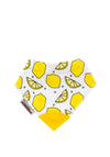 Smiley Eileeys Lemon Print Teething Bib