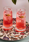 Spode Creatures of Curiosity Highball Glass Tumblers, Set of 2