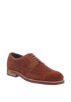 Ted Baker Classic Brogue Shoe, Tan