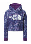 The North Face Gravity Paint Spots Cropped Hoodie, Purple