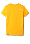 The North Face Boys Simple Dome T-shirt, Summit Gold