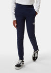 The North Face Surgent Joggers, Navy