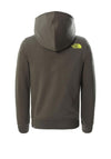 The North Face Kids Box Logo Hoodie, Green