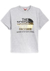 The North Face Womens Logo Print T-Shirt, Grey