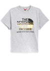 The North Face Womens Logo Print T-Shirt, Grey