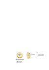 Ti Sento Milano Gold Plated, Zirconia White Star Stud Earrings 7822ZY