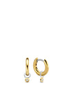 Ti Sento CZ Charms Hoop Earrings, Gold