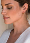 Ti Sento Gold Bubble Earrings 7825SY