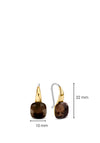Ti Sento  Gold Plated, Tortoise Brown Stone Earrings 7815TB