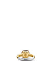 Ti Sento Milano Duo Plated Tortoise Brown Ring
