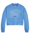 Tommy Hilfiger Girls Bold Varsity Cropped Sweater, Blue Crush