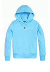 Tommy Hilfiger Boys Essential Logo Hoodie, Seashore Blue