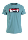 Tommy Jeans Essential Tommy Script T-Shirt, Crest