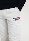 Tommy Jeans Essential Graphic Joggers, Silver Grey