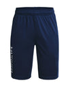Under Armour Boys Prototype 2.0 Wordmark Shorts, Navy