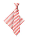 One Varones Stripe Tie and Handkerchief, Red