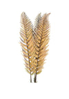 WJ Sampson Single Autumn Fern Stem