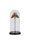 WJ Sampson Golden Bee in Glass Dome