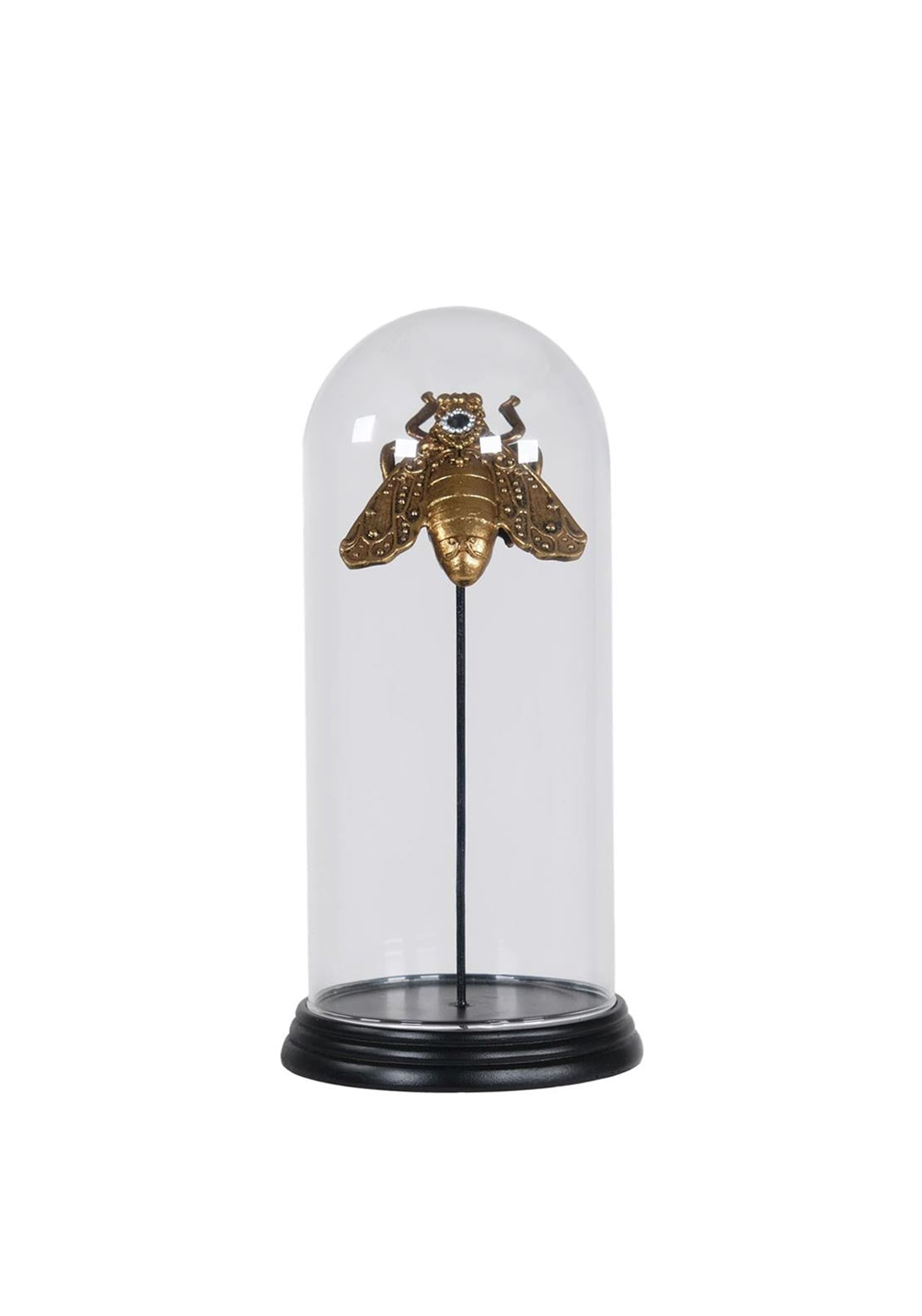 WJ Sampson Golden Bee in Glass Dome