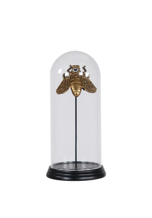 WJ Sampson Golden Bee in Glass Dome