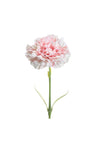 WJ Sampson Pale Pink Carnation Stem