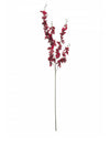 WJ Sampson Red Delphinium Stem