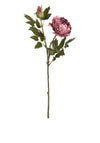 WJ Sampson Rose Spray Stem