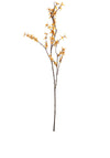 WJ Sampson Winter Jasmine Stem