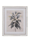 Fern Cottage Gold Leaf Print Mirrored Framed Art, 56 x 66cm