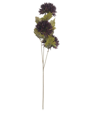 WJ Sampson Chocolate Chrysanthemum Stem