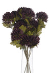 WJ Sampson Chocolate Chrysanthemum Stem