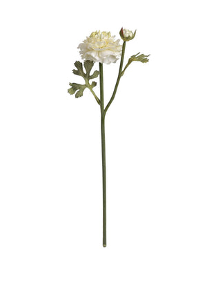 WJ Sampson Green Ranunculus Spray Stem