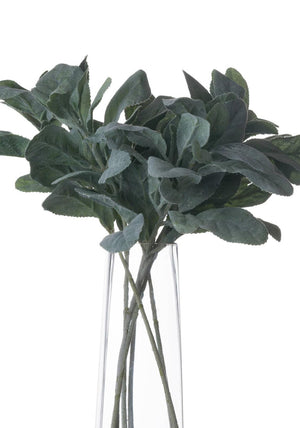 WJ Sampson Lambs Ear Spray