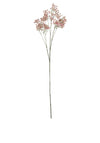 WJ Sampson Pink Babys Breath Gypsophila