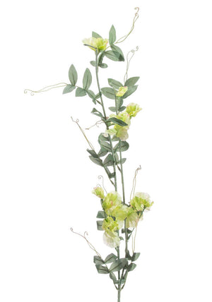 WJ Sampson Wisteria Autumn Stem