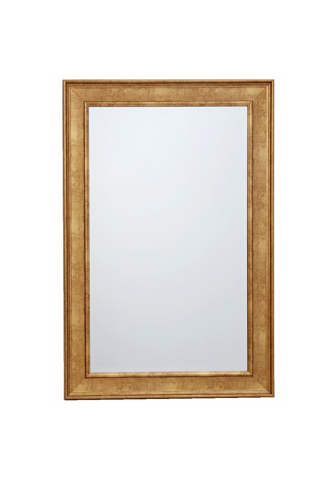 Wj Sampson Gold Wall Mirror 90x60cm