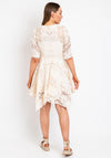 The Sofia Collection Crochet Collar A-Line Mini Dress, Cream